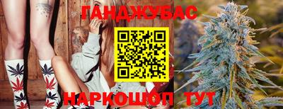 ECSTASY Новодвинск