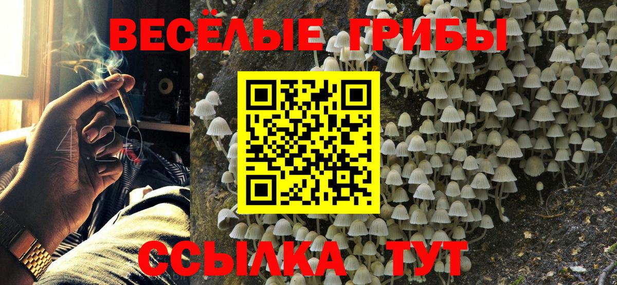 Галлюциногенные грибы прущие грибы Тверь